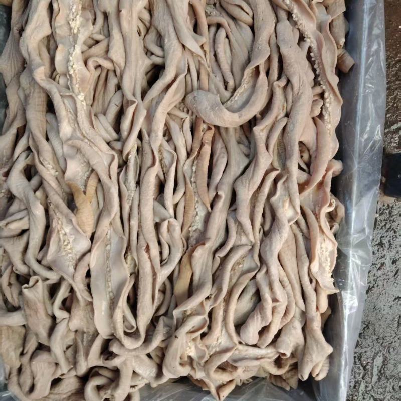 【肠类】牛小肠长期供应厂家直发保质保量品种齐全