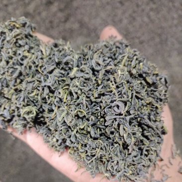 绿茶性价比很高