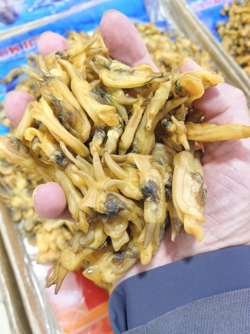 足干蛏干福建海鲜特产哆头特级蛏子干十成干海蛏干无沙大蛏干