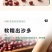 包邮）讷粮优选东北红豆2.5kg