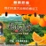 江西赣南脐橙清甜可口价格美丽对接全国质量好走货快欢迎采购
