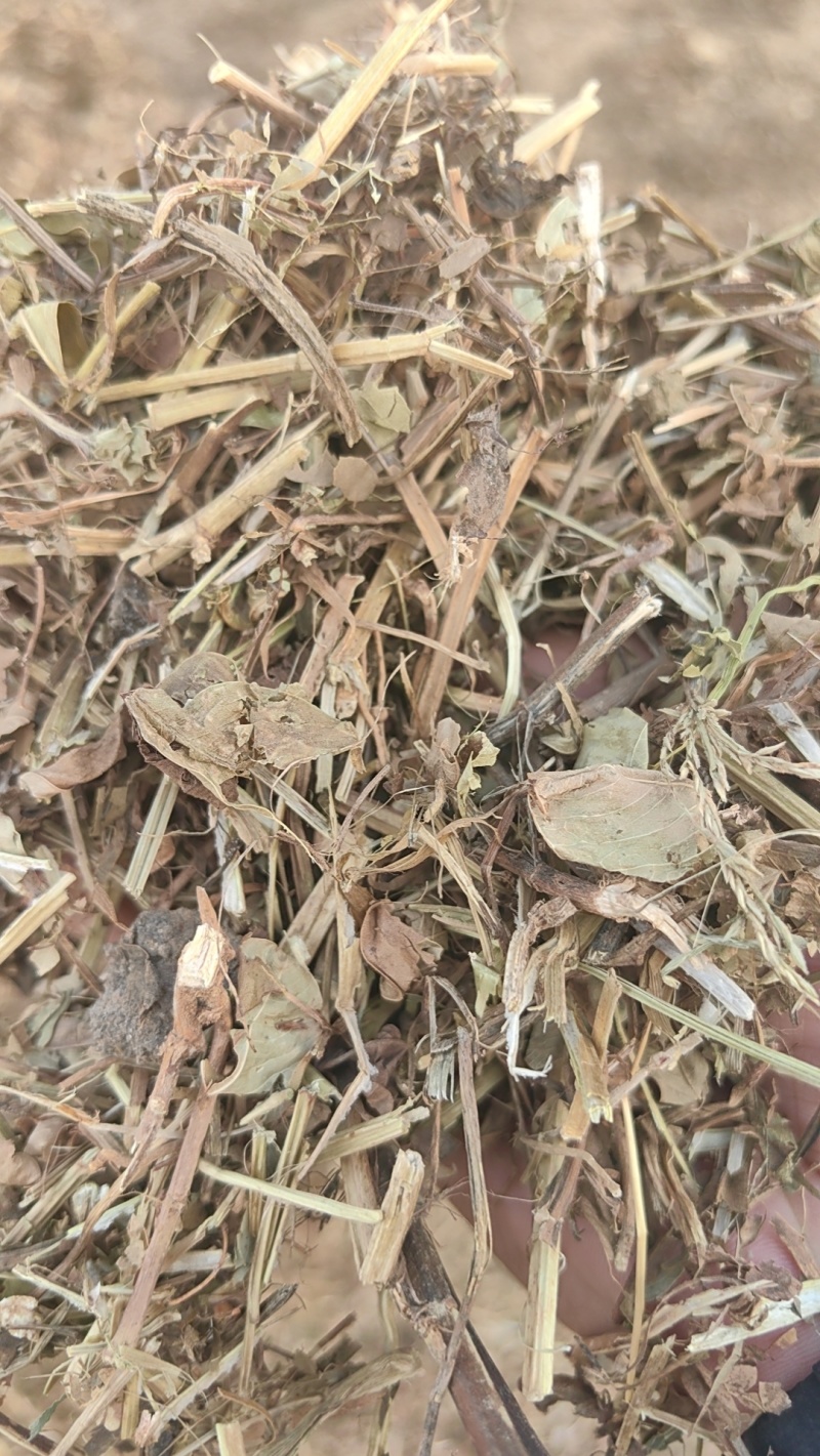花生秧牛羊草料无土无膜无霉产地直发
