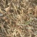 花生秧牛羊草料无土无膜无霉产地直发