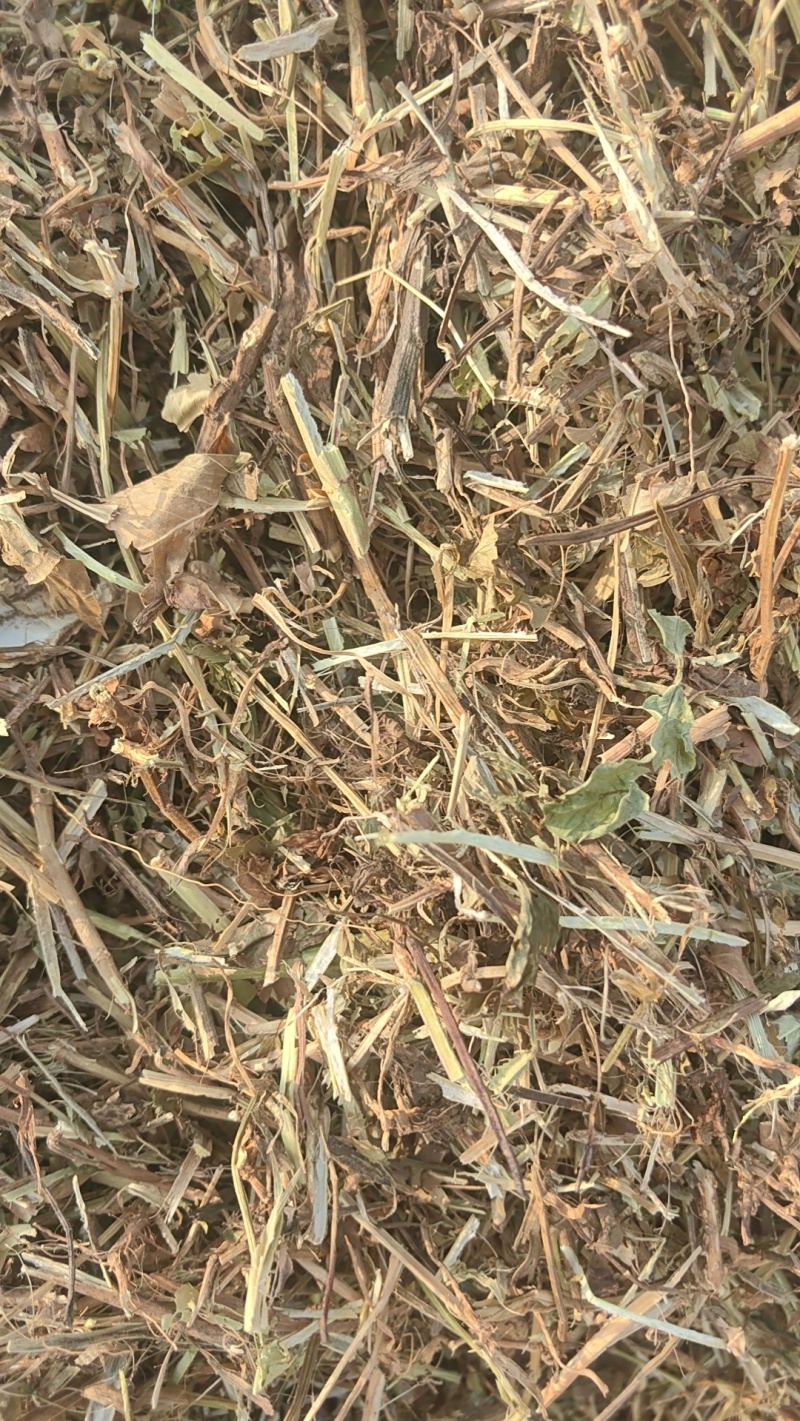 花生秧牛羊草料无土无膜无霉产地直发