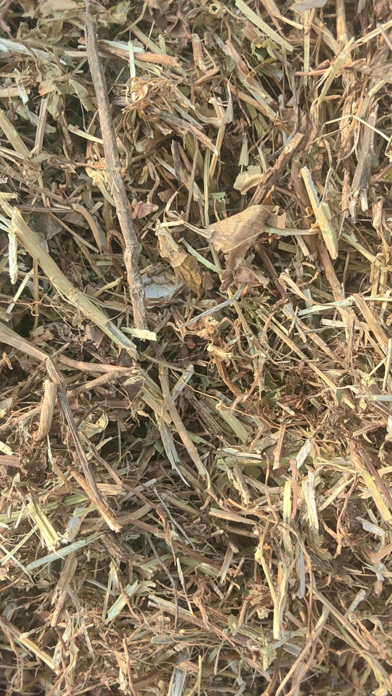 花生秧牛羊草料无土无膜无霉产地直发