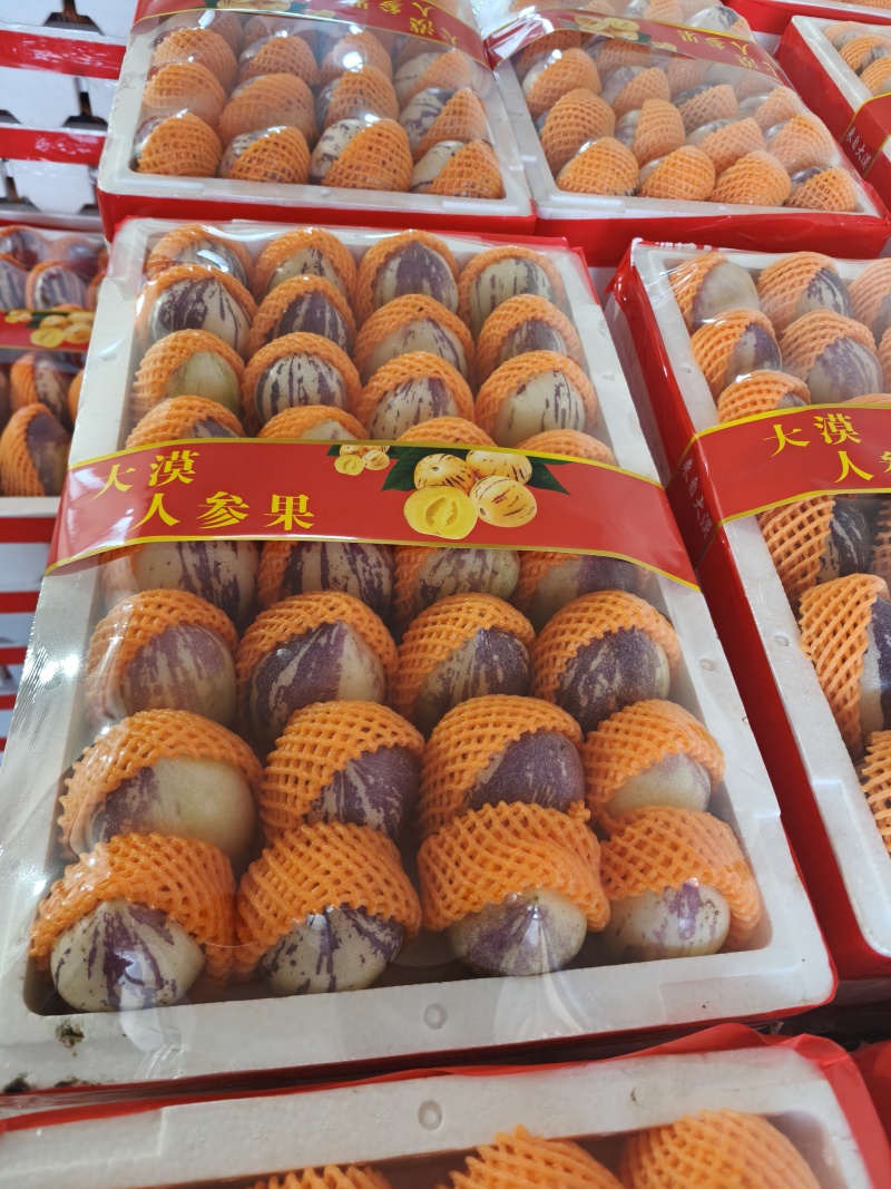 甘肃民勤人参果基地直发对接全国各大市
