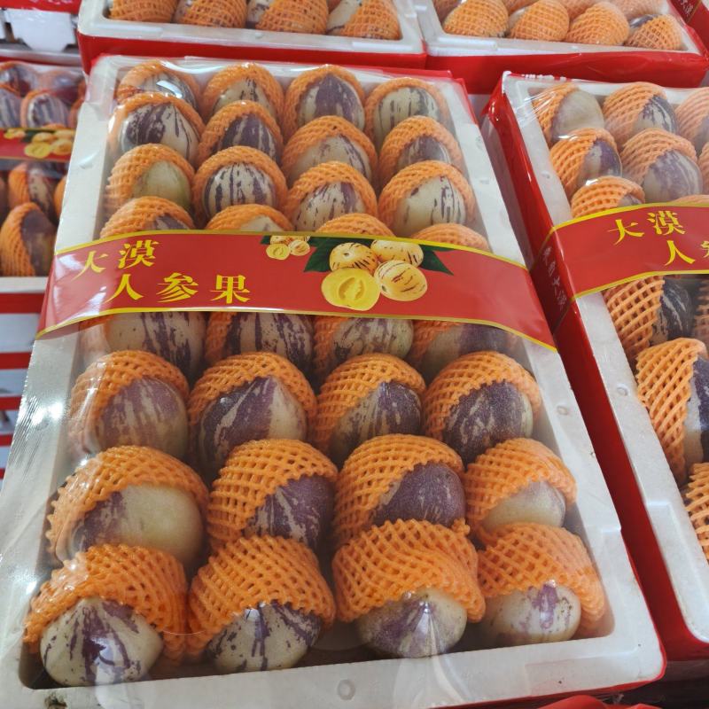 甘肃民勤人参果基地直发对接全国各大市