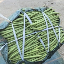 精品四季豆小金豆，货源充足，品种齐全，多样配车