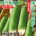 正宗潍坊水果萝卜新鲜生吃青脆甜大冰淇淋水果型胡白特产山东
