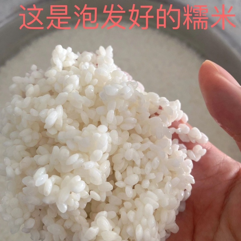 醪糟传统甜酒发酵月子米酒自酿原浆608克玻璃瓶装