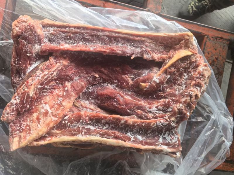 满肉大羊蝎子13