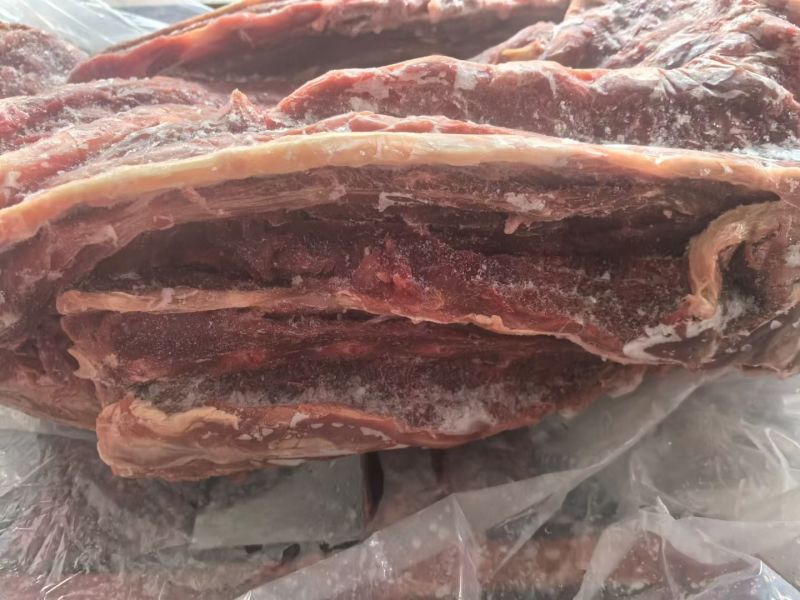 满肉大羊蝎子13