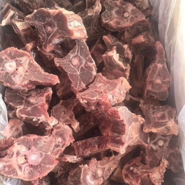 满肉大羊蝎子13