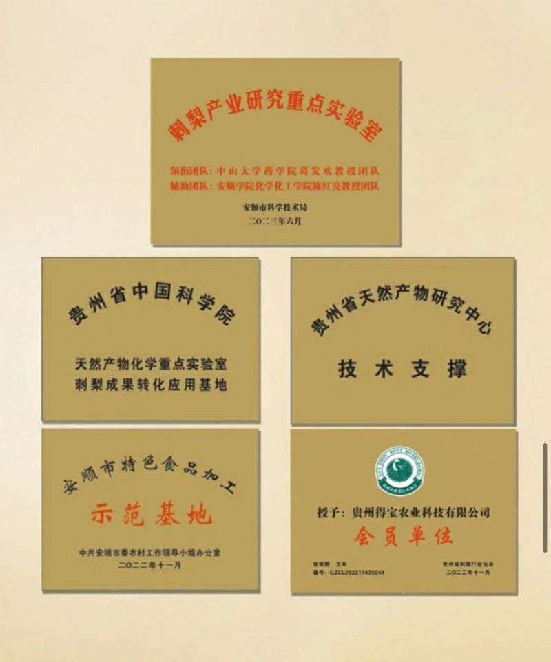 贵州得宝金刺梨原汁