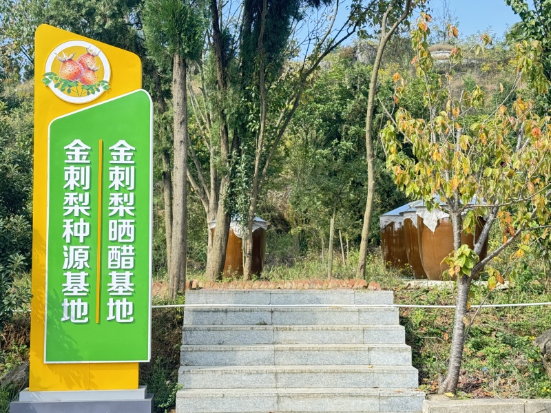 贵州得宝金刺梨原汁