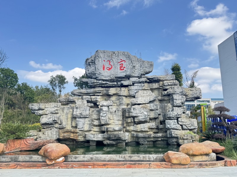贵州得宝金刺梨原汁