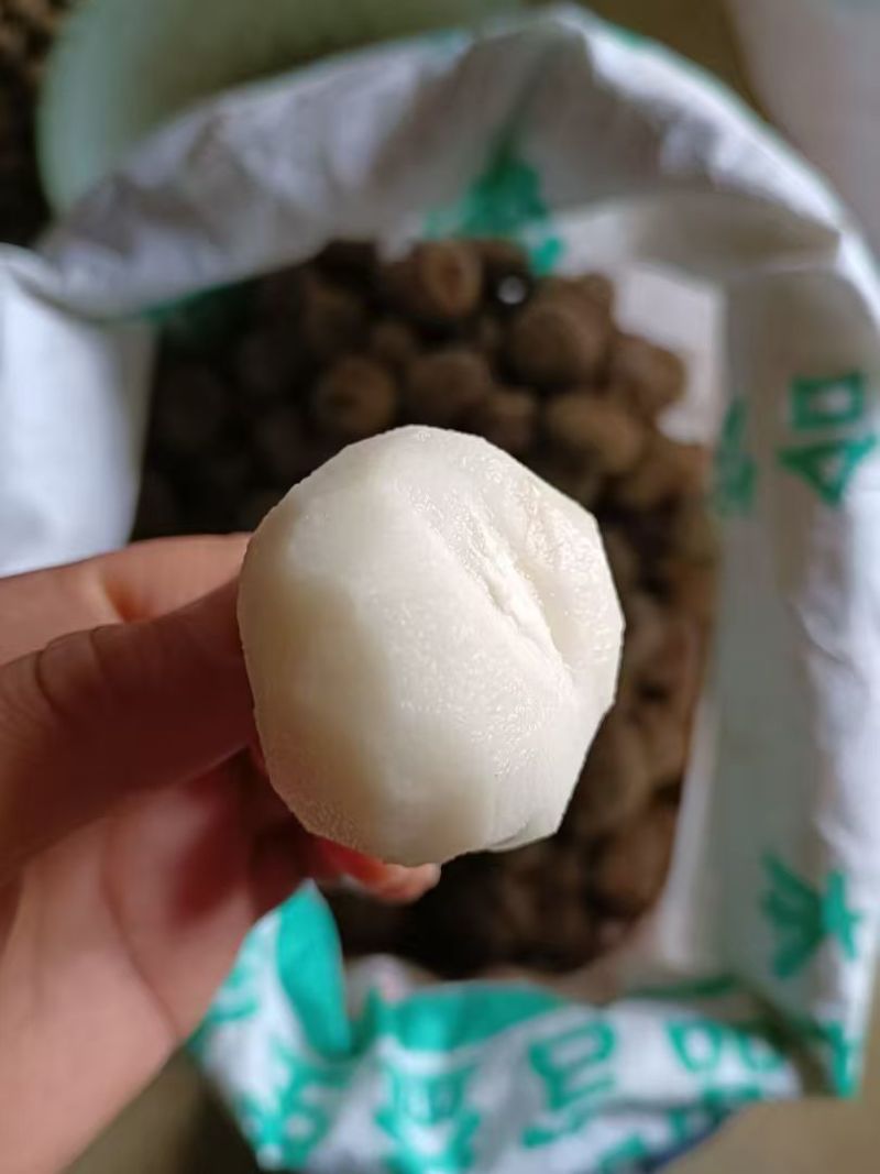 广西桂林大马蹄，火红马蹄，化渣，香甜可口