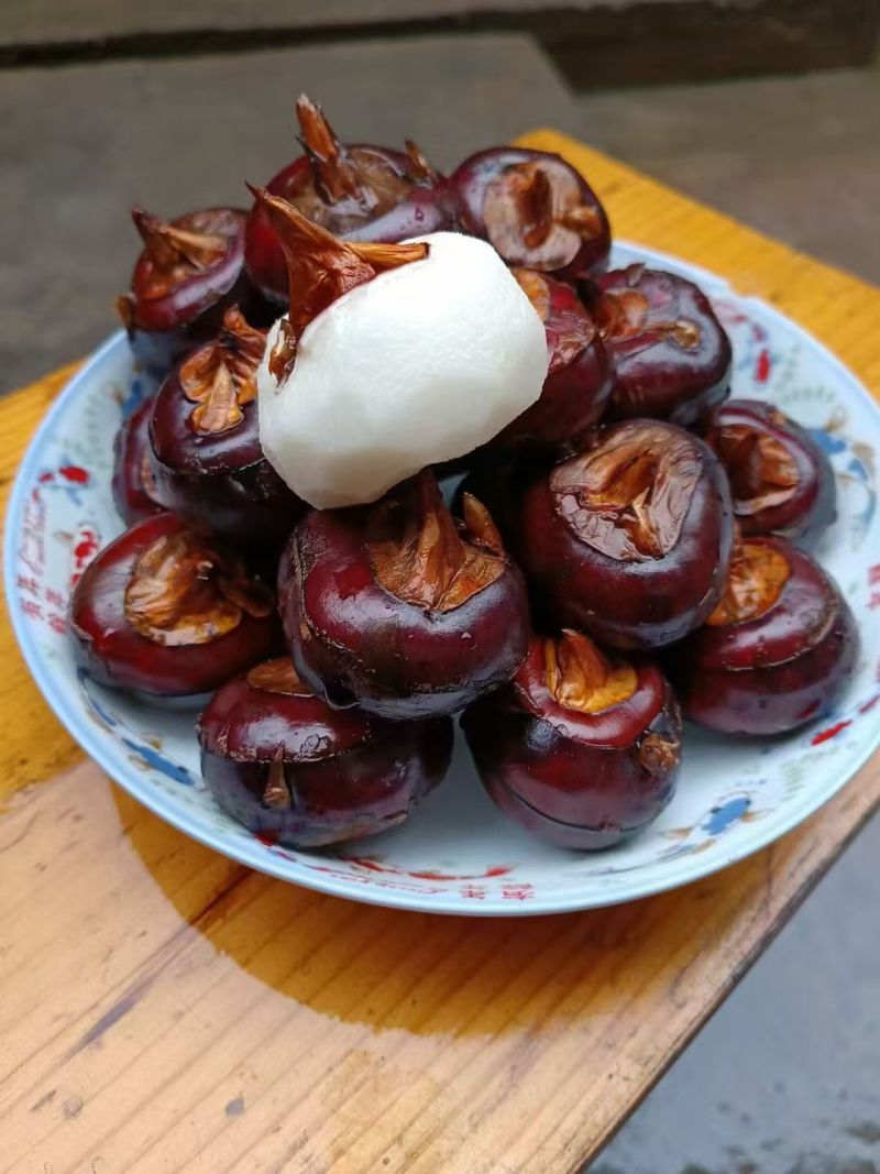 广西桂林大马蹄，火红马蹄，化渣，香甜可口