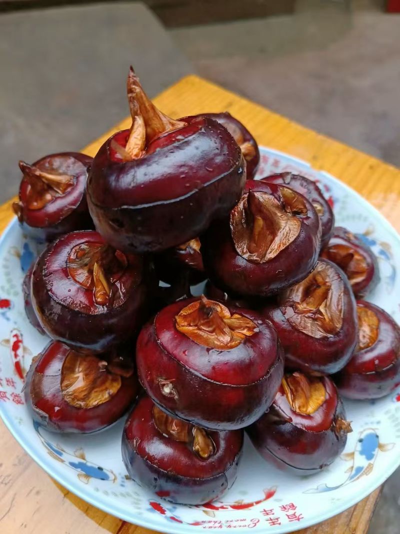 广西桂林大马蹄，火红马蹄，化渣，香甜可口