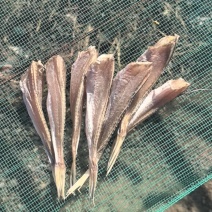 红娘鱼干红头鱼干精品货干度好