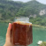 麦子酱