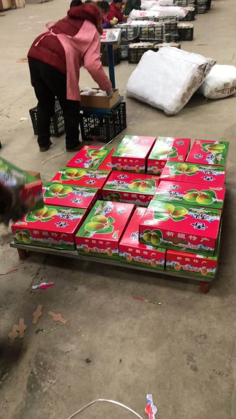 陕西红香酥梨，香梨红香酥筐子装大量上市