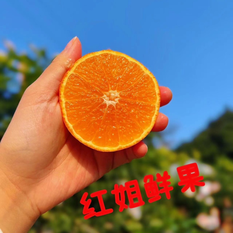 精品套带爱媛38号！