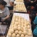 山西临猗贡梨大量上市规格好质量优量大从优