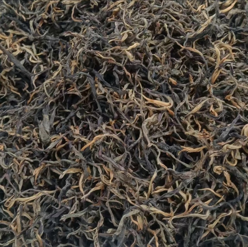 云南秋季普洱红茶/老树生态红茶/产区直发/大量现货