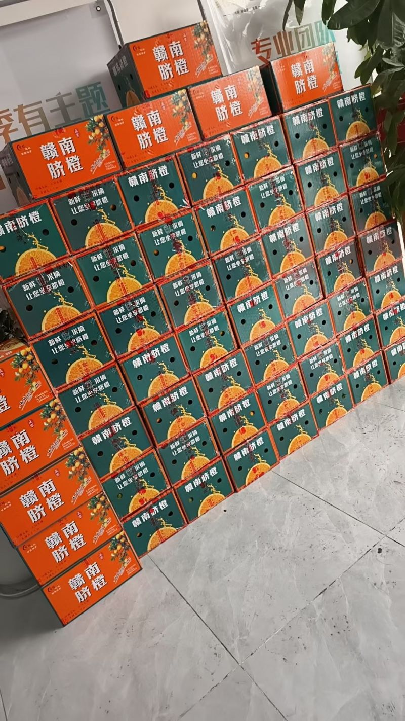 现摘现发，新鲜美味健康