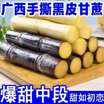 《广西甘蔗》南宁黑皮甘蔗/电商团购一件批发大甩卖