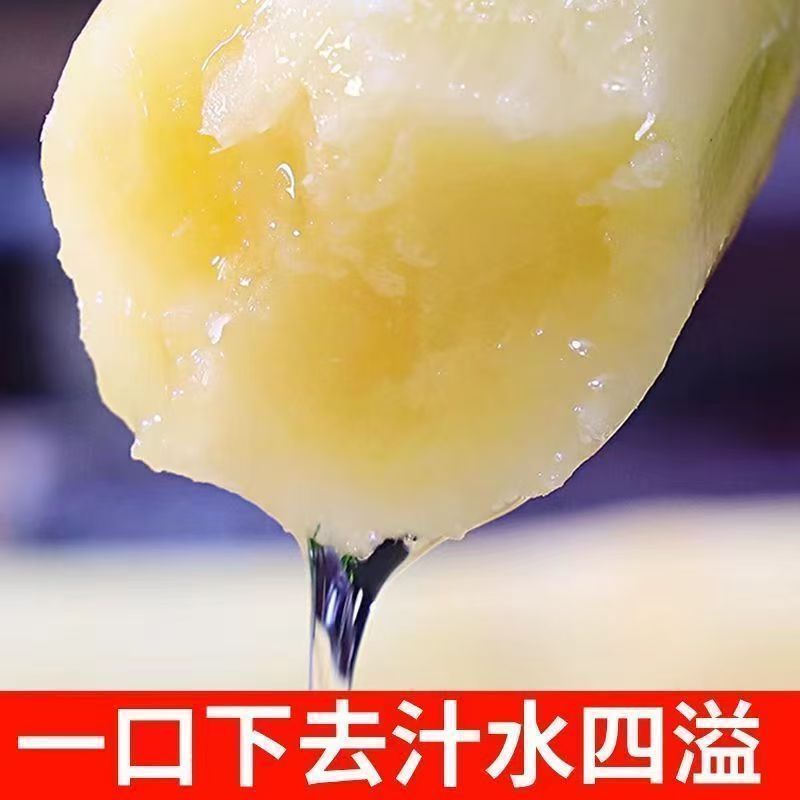 《广西甘蔗》南宁黑皮甘蔗/电商团购一件批发大甩卖