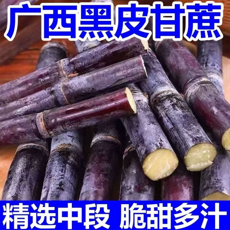 《广西甘蔗》南宁黑皮甘蔗/电商团购一件批发大甩卖