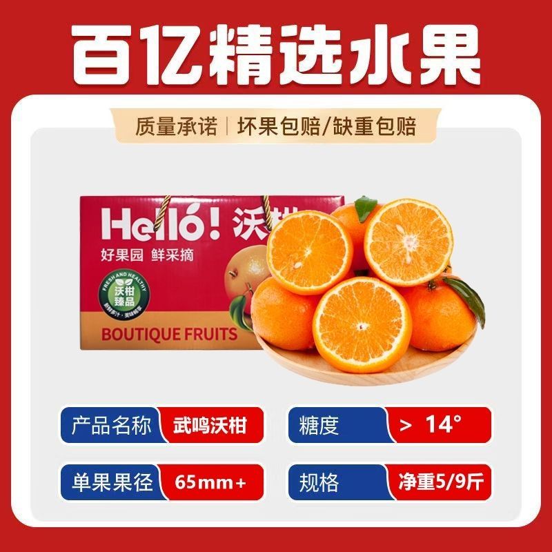 《热卖爆款》广西沃柑/武鸣沃柑/一件批发日供应2万单