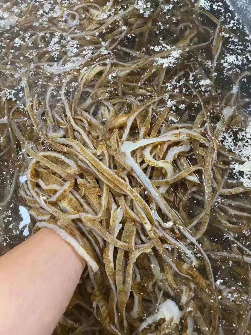 黑底板丝白底板丝适合电商冒菜自助餐麻辣烫食堂外卖火锅