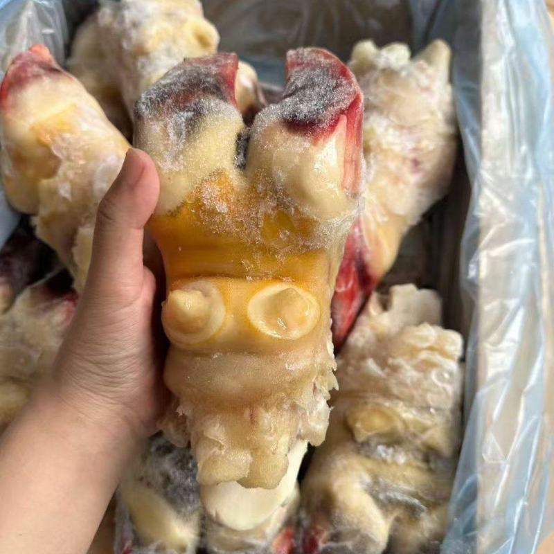 带骨牛前蹄