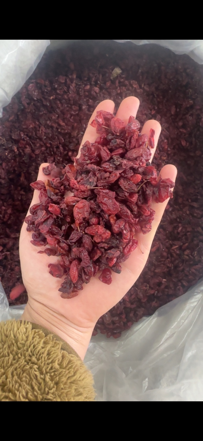 山芋肉产地安徽振兴药材批发一手货源