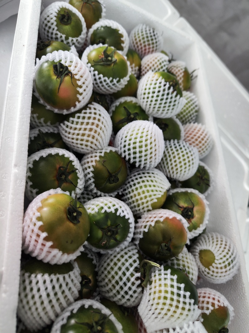 精品草莓西红柿