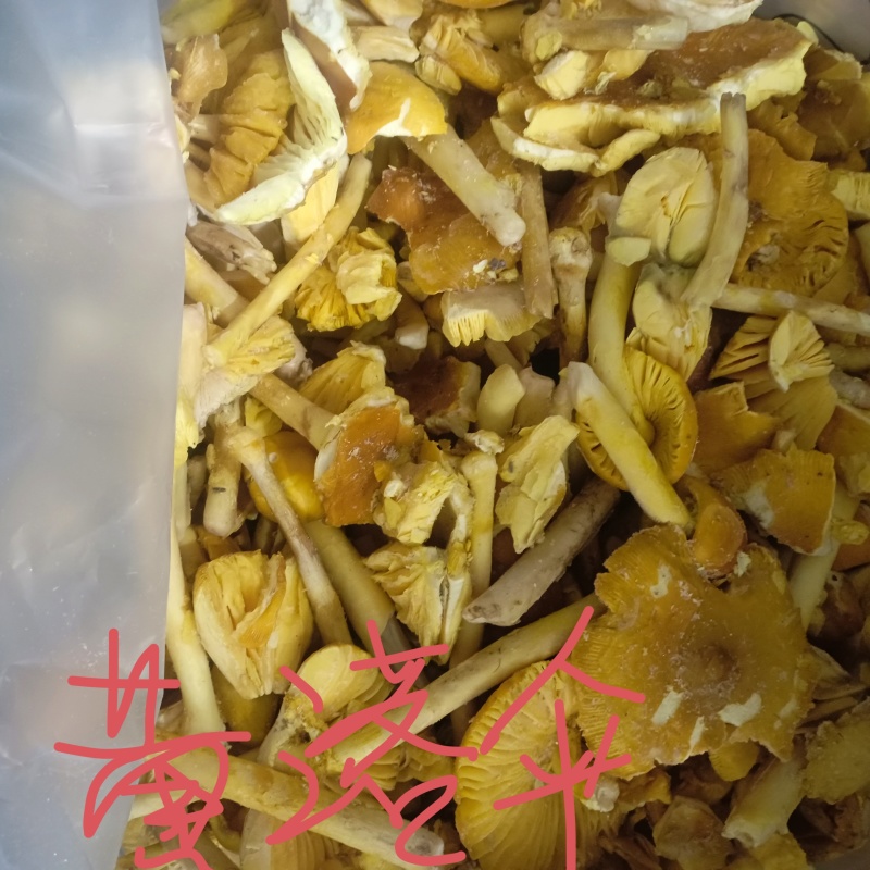 品质美丽价格实惠