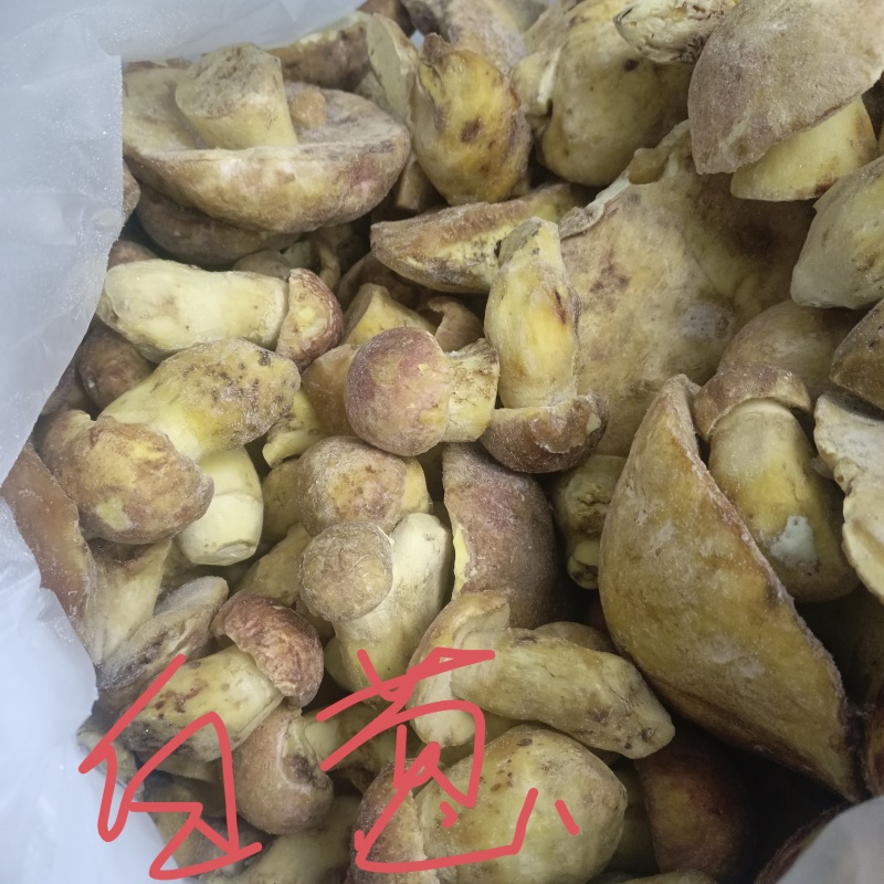品质美丽价格实惠