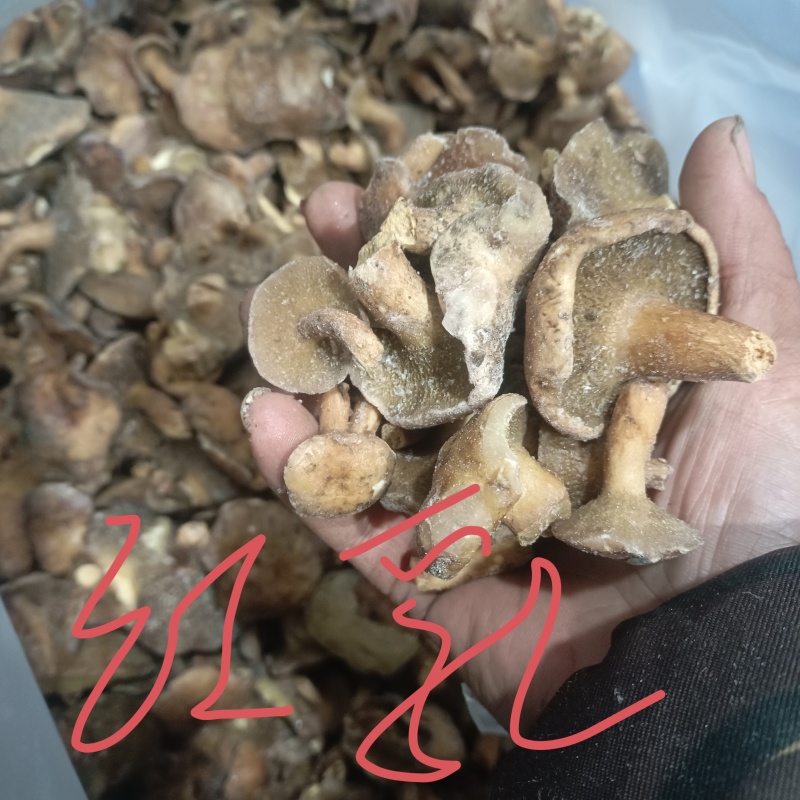 品质美丽价格实惠