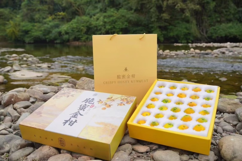 融安脆蜜金桔产地直供一件代发