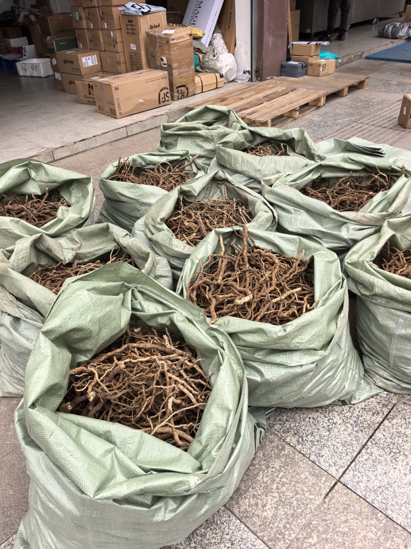 大通草根