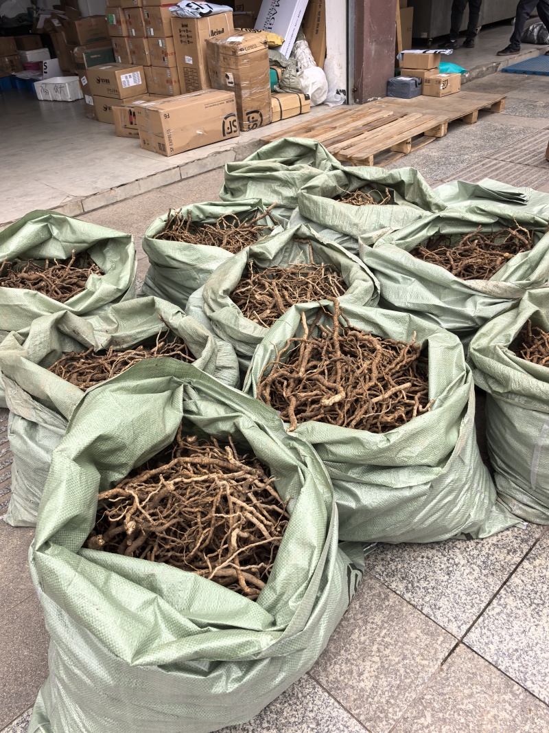 大通草根