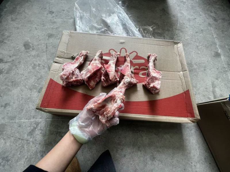 猪尾骨