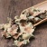 柿蒂中药材柿蒂柿蒂野生新货柿丁柿萼无硫正品