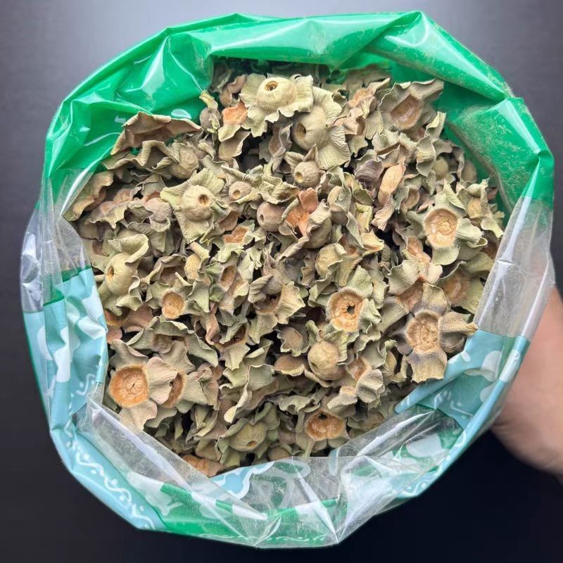 柿蒂中药材柿蒂柿蒂野生新货柿丁柿萼无硫正品