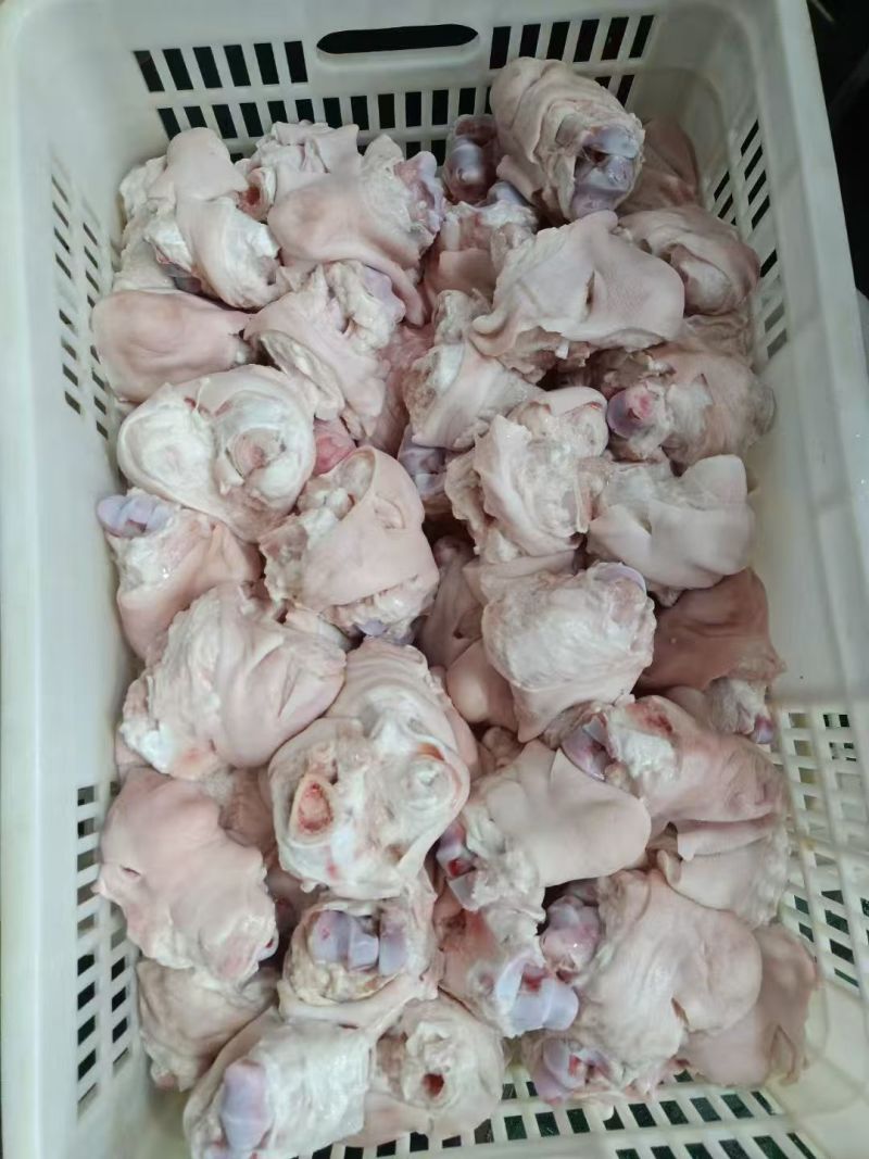 带皮拐骨