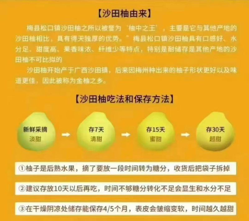 【热卖】沙田柚新鲜上市品质保证大量供应全国包邮