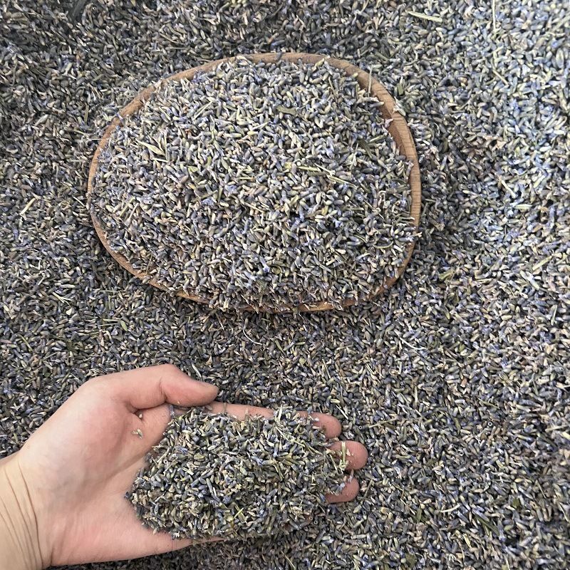 薰衣草干花粒熏衣草干花正品薰衣草天然干花